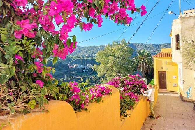 Gran Canaria 7 Highlights Small Group Tour with Tapas Picnic - The Transport & Group Size: Why It Matters