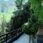 Gran Canaria Historical Tour - Final Thoughts