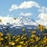 Group Tour: Amberd, Aragats, Lake Kari, Saghmosavank, Alphabet - Whats Included & How It Adds to the Experience