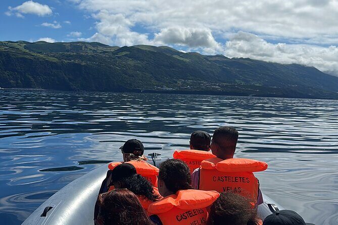 Guided activity in the Heart of Azores with whales and dolphins - Final thoughts