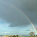 Guided Day Tour of Giant's Causeway from Belfast by Comfortable Coach - Price and Value