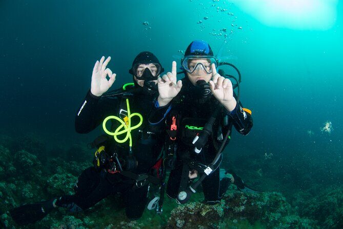 Guided diving for beginners without certification from Sorrento - An In-Depth Look at the Experience