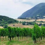 Guided E-Bike tour with food and wine tasting. - Who Will Love This Experience?
