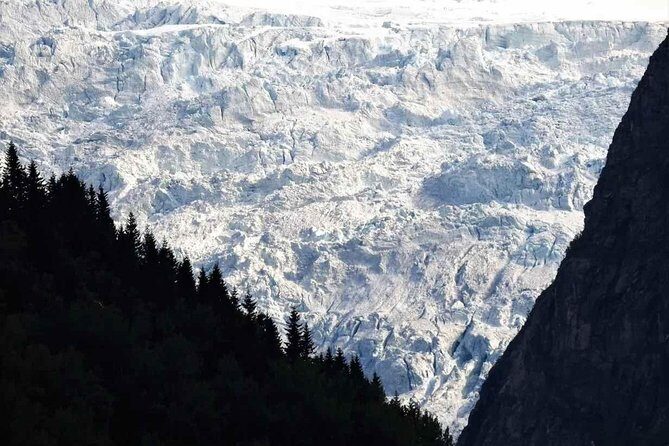 Guided Fjord & Glacier Tour - From BERGEN - The Sum Up