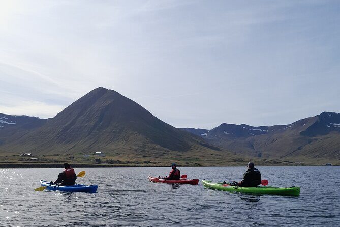 Guided kayak tour in Siglufjörður / Siglufjordur. - The Sum Up
