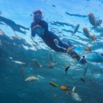 Guided Snorkel Experience - Who Would Love This Tour?