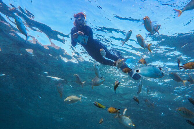 Guided Snorkel Experience - Who Would Love This Tour?