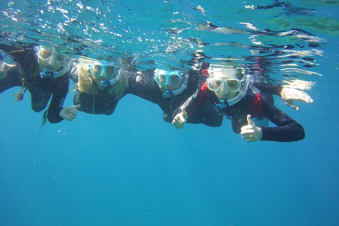 Guided Snorkelling Experience in South of Gran Canaria - The Price and Its Value