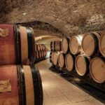 Guided tour and wine tasting Northern Rhône Valley - Why This Tour Excels