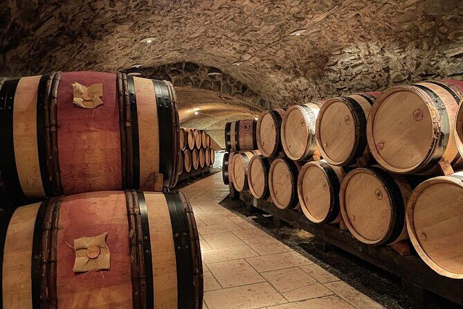 Guided tour and wine tasting Northern Rhône Valley - Why This Tour Excels