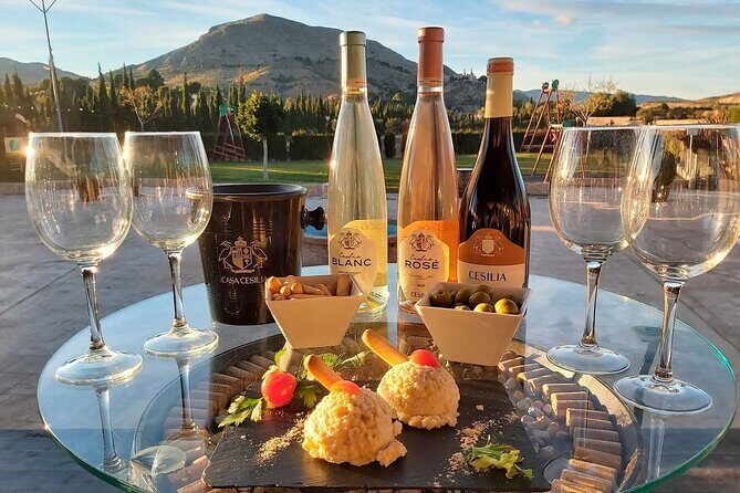 Guided Tour Of An Old Winery with Tasting from Alicante and Elche - A Closer Look at the Itinerary