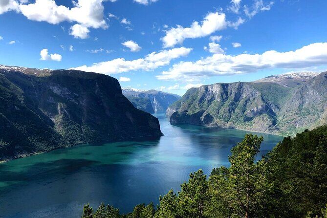 Guided Tour To Nærøyfjorden, Flåm And Stegastein - Viewpoint Cruise - Who Will Appreciate This Tour?