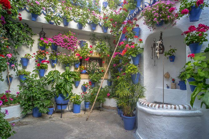 Guided Tour to the Popular Patios of Cordoba - The Value of the Guided Experience