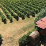 Guided tour with wine tasting and local organic products - Who Would Love This Tour?