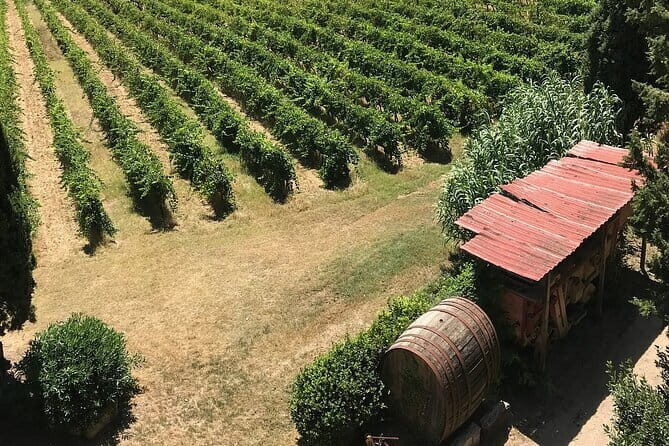 Guided tour with wine tasting and local organic products - Who Would Love This Tour?