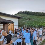 Guided Walk and Lunch in the Vineyard in Alba - Why This Tour Works Well for Certain Travelers