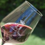Guided Wine and Olive oil tasting - The Setting and Atmosphere