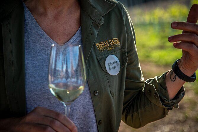 Guided Winery tour and Wine tasting in Pontevedra - Insights from Reviewers