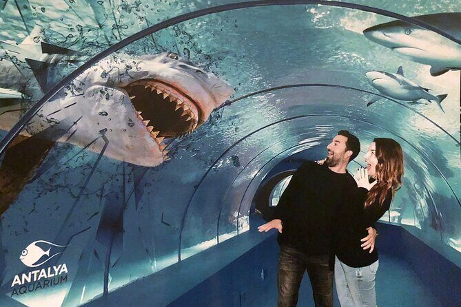 Half Day Antalya Aquarium Tour And Wax Museum - An In-Depth Look at the Antalya Aquarium & Wax Museum Tour