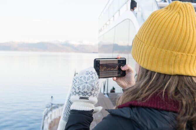 Half Day Arctic Fjord Cruise from Tromso - Who Should Consider This Tour?
