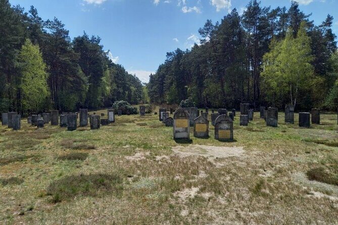 Half-Day Chelmno Kulmhof Concentration Camp Private Tour - An Honest Look at the Tour Experience