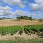 HALF-DAY: Chianti Classic Tour with Wine Experience & visit of San Gimignano - The Sum Up: Why This Tour Stands Out