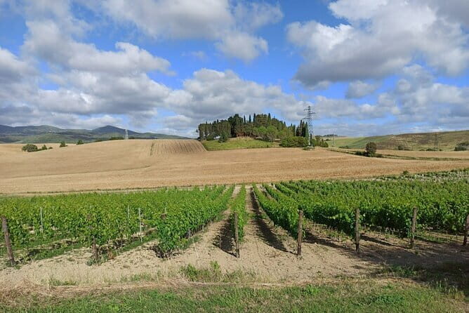 HALF-DAY: Chianti Classic Tour with Wine Experience & visit of San Gimignano - The Sum Up: Why This Tour Stands Out