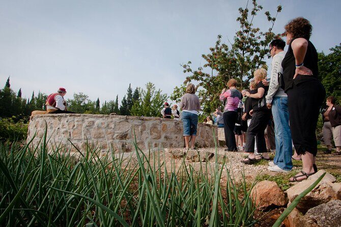 Half day Dubrovnik Countryside Gastro Experience - Final Thoughts