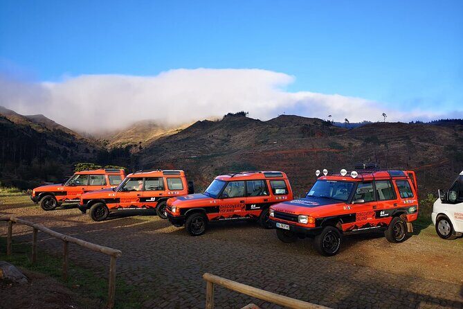 Half Day Jeep Safari Tour at Pico Areeiro and Santo da Serra - Authentic Perspectives from Past Travelers
