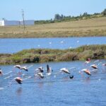 Half-Day Nature Safari in the Algarve - Final Thoughts: Is it Worth It?