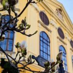 Half-Day Private Food and Wine Walking Tour Oradea Romania - What’s Included — and What Not