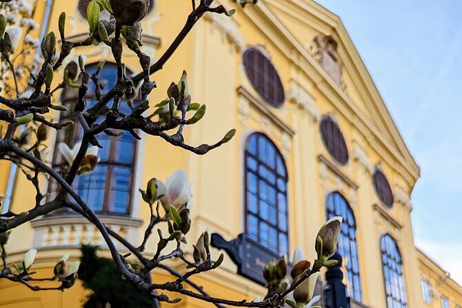 Half-Day Private Food and Wine Walking Tour Oradea Romania - What’s Included — and What Not