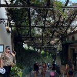 Half Day Private Tour in Positano - FAQs