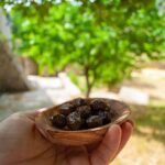 Half-Day Private Tour & Picnic in Real Cretan Countryside Retreat - What’s Included and Why It Matters