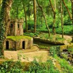 Half Day Private Tour - Sintra World Heritage - Transportation and Comfort