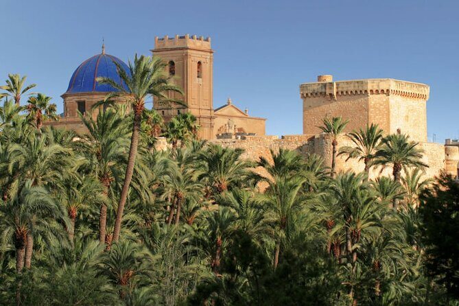 Half day private tour to Elche and Santa Pola - Authentic Experiences and Highlights