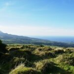 Half Day Terceira Island Tour by 4x4 - The Sum Up