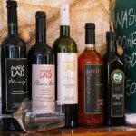 Half Day Tour - Deep and Dark Red Wine of Peljeac - The Real Experience: Insights from Reviews