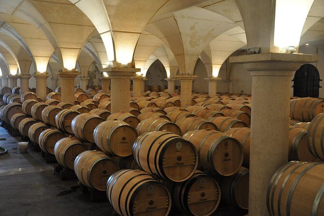 Half-day tour to Saint Emilion, a UNESCO site, with a private guide - Critical Considerations