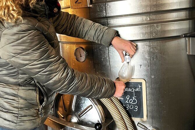Half day Wine Tour in Côteaux Aix from Aix en Provence - A Detailed Look at the Experience