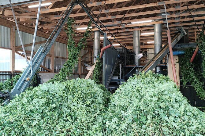 Hallertau experience with hop harvest, lunch and hop museum - Why This Tour Is a Great Pick