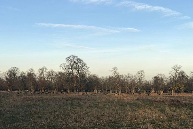 Hampton Court Palace Grounds Bike Tour - The Itinerary: What to Expect