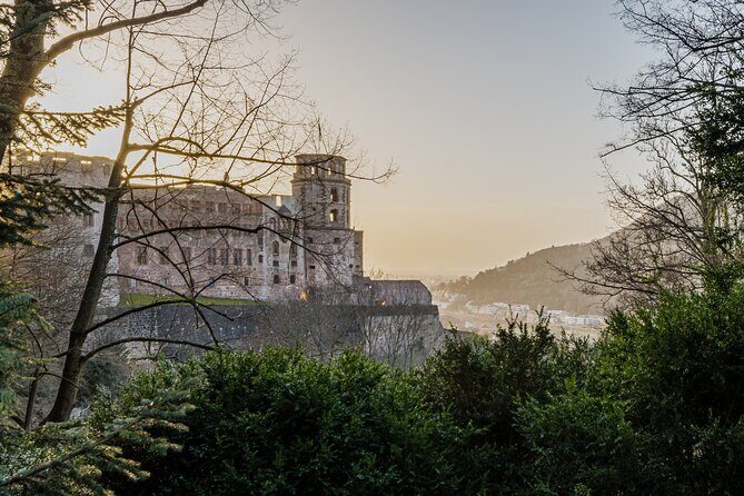Heidelberg Castle and City Day Tour from Frankfurt - Final Thoughts