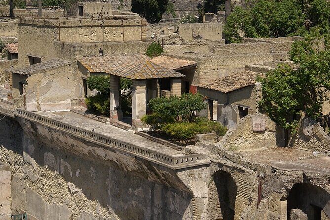 Herculaneum Guided Tour with Pick Up in Naples - Who Should Consider This Tour?