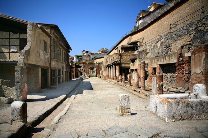 Herculaneum Private Tour with wine and lunch option on Vesuvius - What to Expect from the Itinerary