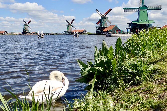 Highlights of Holland Private Guided Tour from Amsterdam - The Experience: What’s Included and What’s Not