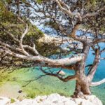 Hike to the Blue Cave Marseille with swimming and snack - Analyzing the Value
