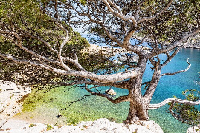 Hike to the Blue Cave Marseille with swimming and snack - Analyzing the Value