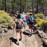 Hikes Roque Nublo - The Experience: What Travelers Say