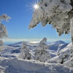 Hiking in Parnitha National Park from Athens - The Route and Highlights